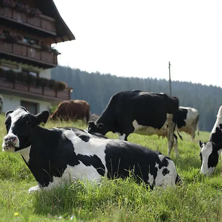 Bio-kinderbauernhof Wilmershof