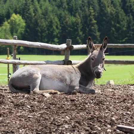 Апартаменты Bio-kinderbauernhof Wilmershof