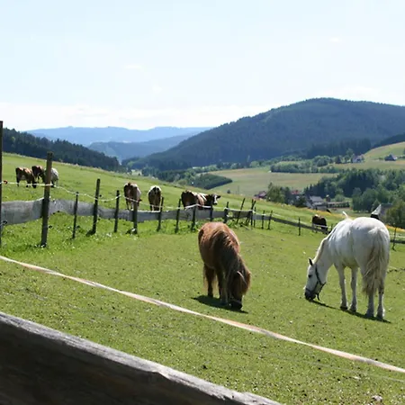 Bio-kinderbauernhof Wilmershof Titisee-Neustadt