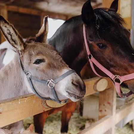 Bio-kinderbauernhof Wilmershof *