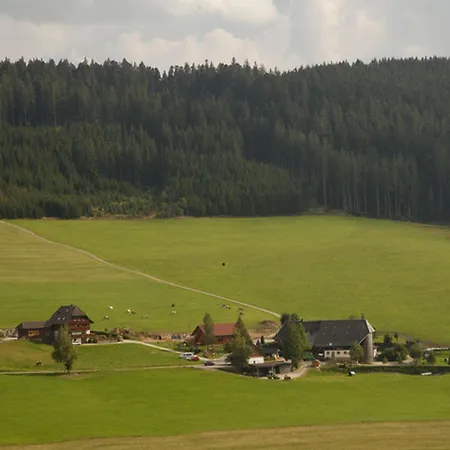 Apartment Bio-kinderbauernhof Wilmershof Titisee-Neustadt