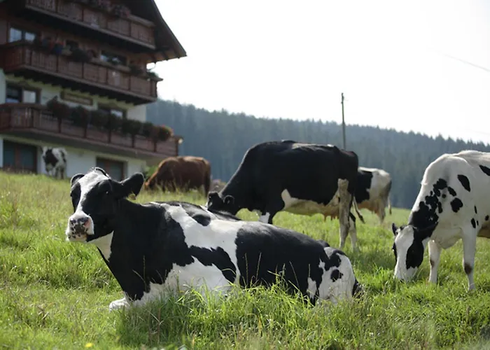 Bio-kinderbauernhof Wilmershof