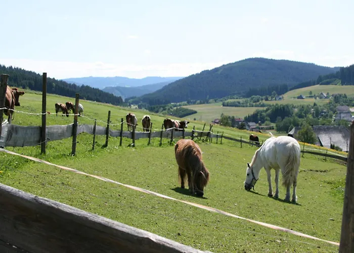 Bio-kinderbauernhof Wilmershof Titisee-Neustadt