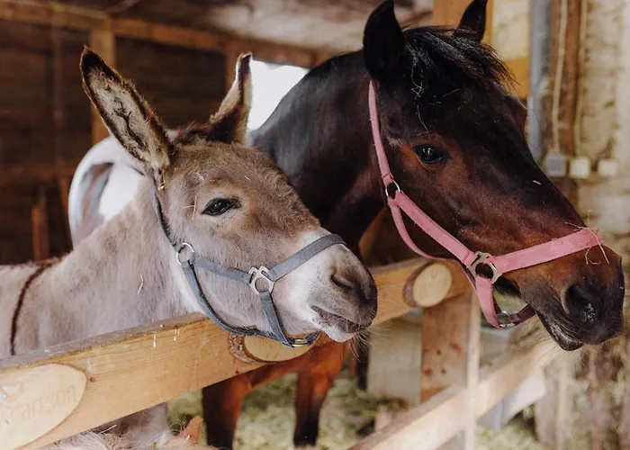 Bio-kinderbauernhof Wilmershof *